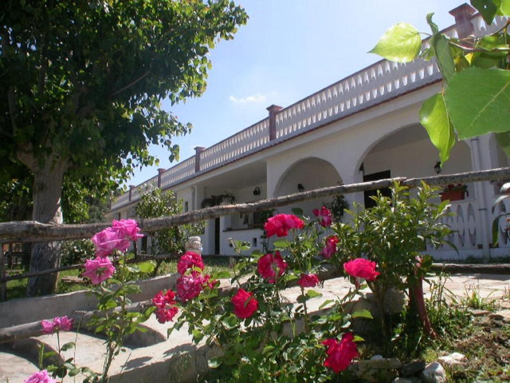 B&B La Formichina Peschici Εξωτερικό φωτογραφία
